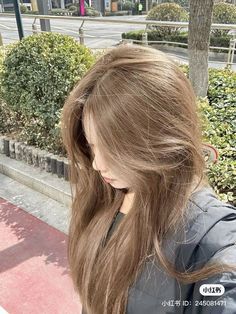 Korean Hair Ideas, Hairstyle Girl, Korean Hairstyles, Model Hair Color, Beige Hair, Korean Hair, Messy Buns, Bald Hair, Dirty Blonde Hair