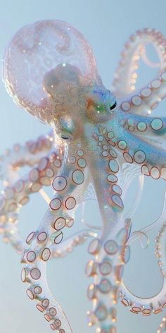 an octopus is floating in the air with bubbles