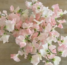 pink and white flowers are in a vase