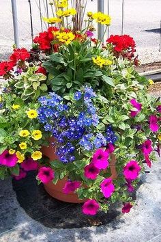 a large pot filled with lots of colorful flowers