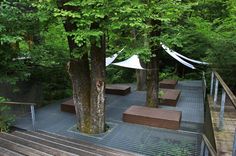 an outdoor area with benches and trees