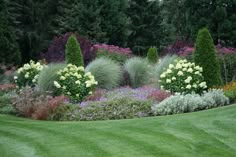 a lush green lawn with lots of flowers and trees in the backround area