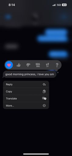 an iphone screen with the message good morning princess, i love you am