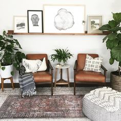 a living room filled with furniture and lots of plants