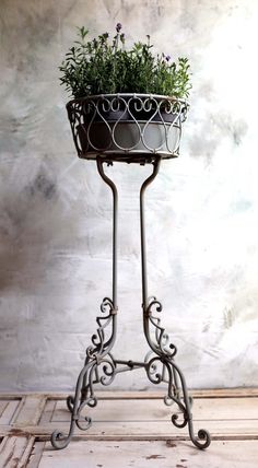 a metal plant stand with plants in it