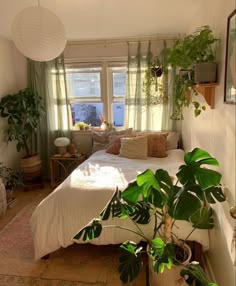 a bedroom with potted plants on the floor and a bed in front of two windows