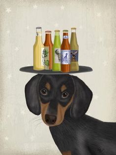 a dachshund dog wearing a hat with bottles on it's head