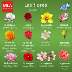 an image of flowers that are in english and spanish language on a green background with the words la flores flower - te