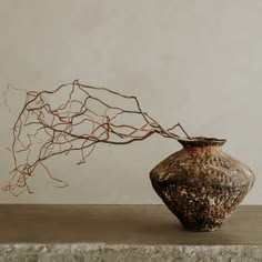 a vase with branches sticking out of it