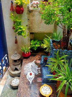 a living room filled with lots of different types of plants and decorations on top of a table