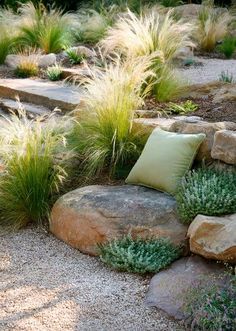 some rocks and plants in the middle of a garden with grass growing on top of them