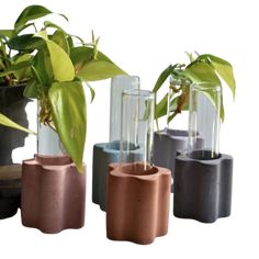 three planters with plants in them and one has a glass tube filled with water