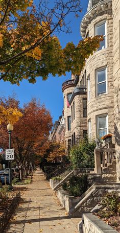 Afternoon sunlight Dupont Circle Washington DC townhomes along the sidewalk facing trees with red and yellow leaves. Fall Washington Dc, Washington Dc Aesthetic Fall, Logan Circle Washington Dc, Fall In Dc, Washington Dc Living, Dc Lifestyle, Dupont Circle Washington Dc, Dc Aesthetic, Boston Aesthetic