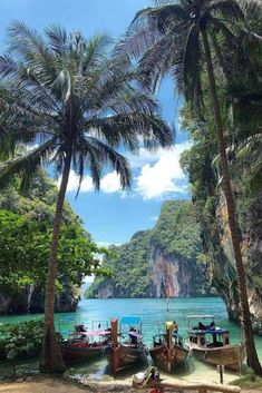 boats are docked in the water next to palm trees