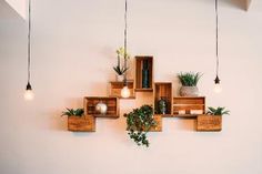 several wooden shelves with plants and lights hanging from them