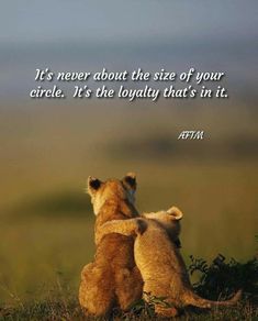 two lions sitting in the grass looking at each other with a quote above them that reads it's never about the size of your circle, it's the