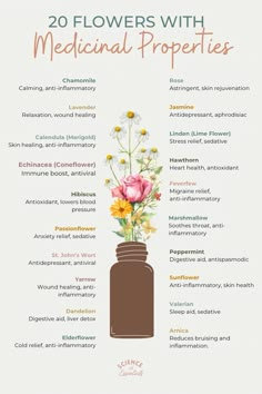 20 flowers with medicinal properties, aromatherapy garden, science of essentials, natural medicine Medicinal Flower Garden, Aromatherapy Garden, Garden Science, Medicinal Herbs Remedies, Medical Plants, Herbal Medicine Recipes, Essential Oils Herbs, Essential Oil Blends Recipes