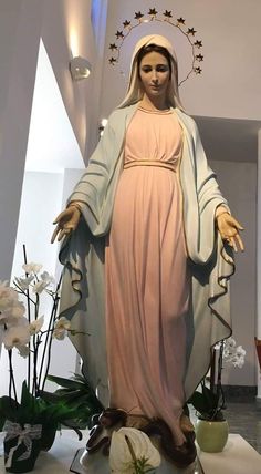 a statue of the virgin mary in a room with white flowers and potted plants