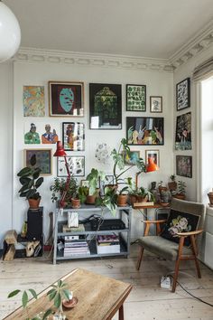 a living room filled with lots of plants and pictures