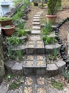 the steps are made out of stone and have plants growing on them