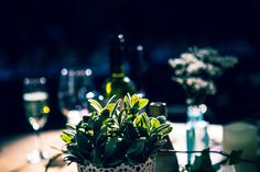 a table with wine glasses and plants on it