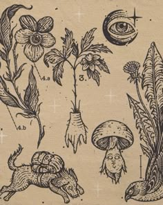 an image of some plants and animals on paper