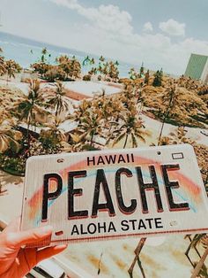 a person holding up a license plate that reads hawaii peache aloha state