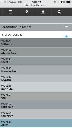 an iphone screen showing the colors and options for different items in each color palettes