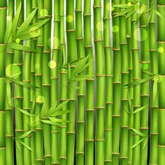 green bamboo background - backgrounds decorative