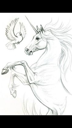 a drawing of a unicorn and a bird flying next to each other in the air