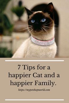 a siamese cat with the words 7 tips for a happier cat and a happy family