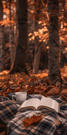 an open book and cup on a blanket in the woods