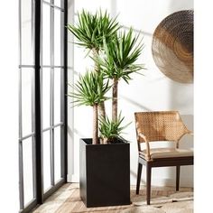 there is a potted plant next to a chair on the floor in front of an open window