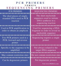 the differences between pcr primers and sequencing primers are shown