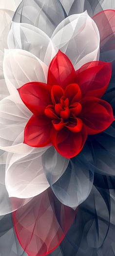 a red and white flower on a black background