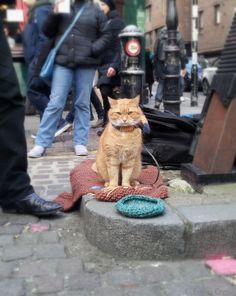 an orange cat sitting on top of a pile of blankets next to a person in black boots