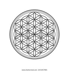 the flower of life symbol is shown in black and white, with an intricate design