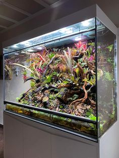 a large aquarium filled with lots of plants