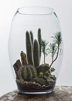 a glass vase filled with plants on top of a table