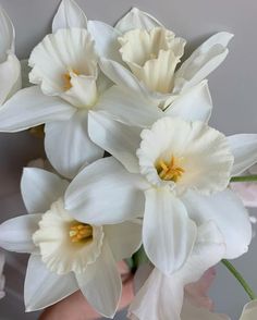 a bouquet of white flowers in someone's hand