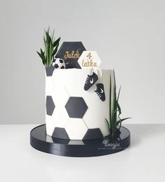 a black and white soccer themed cake with plants