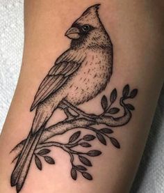 a bird sitting on top of a tree branch with leaves around it's legs