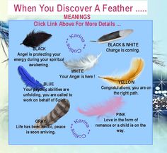 Feather Meaning, Magia Das Ervas, After Life, Back To Nature, Spell Book, Spirit Guides, Book Of Shadows, Spiritual Awakening