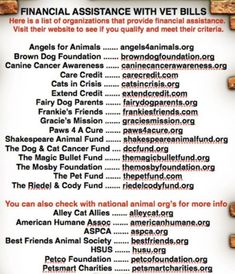 the financial assistance with vet bills poster