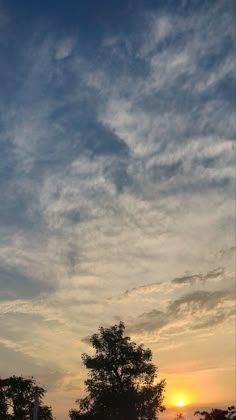 the sun is setting over some trees and grass in front of an airplane that is flying overhead