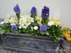 an assortment of flowers sitting in a planter