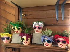 a shelf filled with potted plants and fake heads wearing sun glasses on top of it