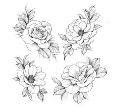 some flowers that are drawn in pencil