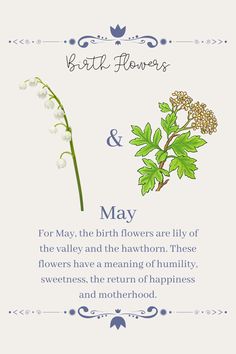 a card with flowers on it and the words birth flowers and may written in blue