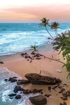 a person standing on top of a sandy beach next to the ocean and palm trees